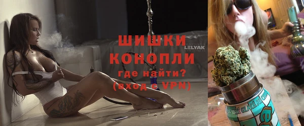 шишки Балабаново