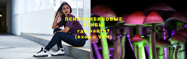 шишки Балабаново