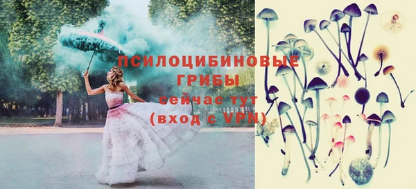 шишки Балабаново