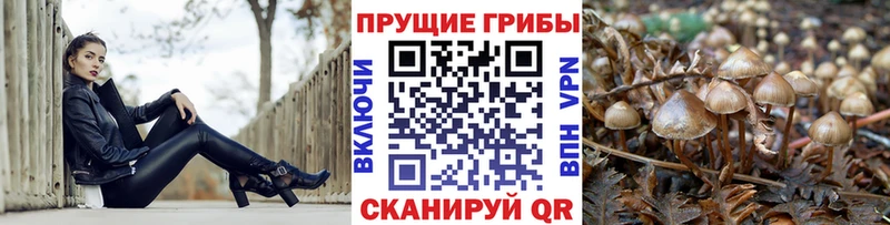 Галлюциногенные грибы мухоморы  Купить где  Любань 